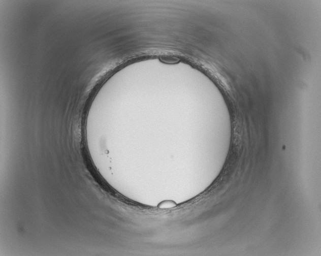 X0000115210015200911181538