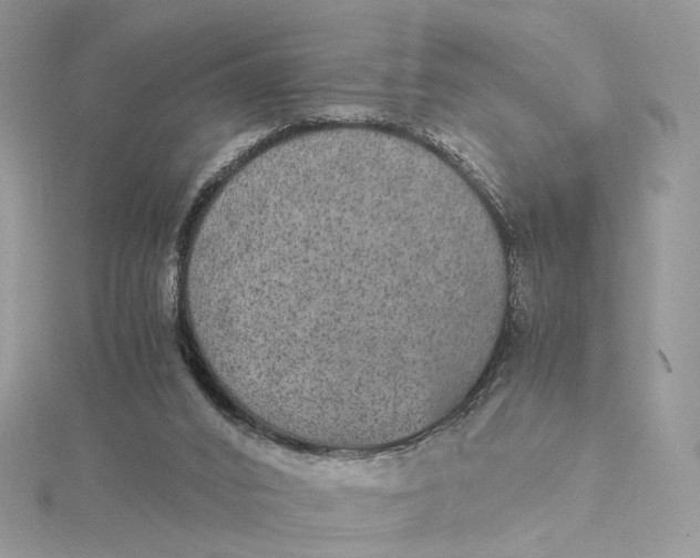 X0000115210016200911181538