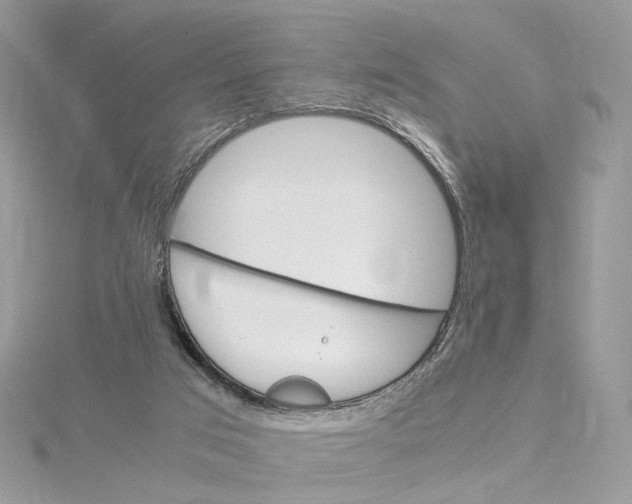 X0000115210017200911181538