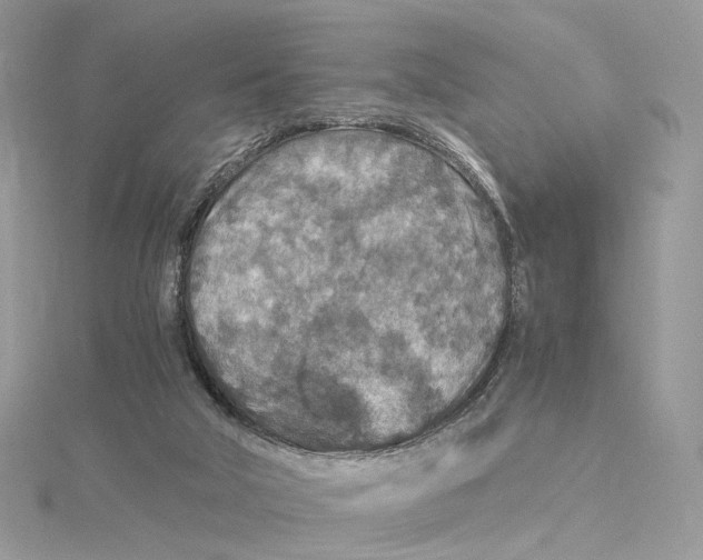 X0000115210018200911181538