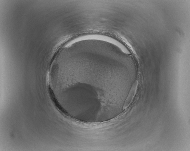 X0000115210019200911181538