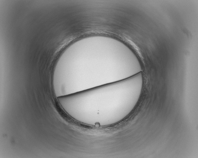 X0000115210020200911181538