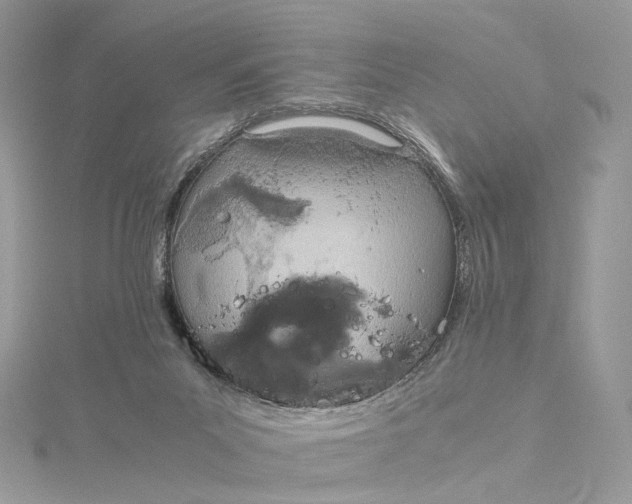 X0000115210023200911181538