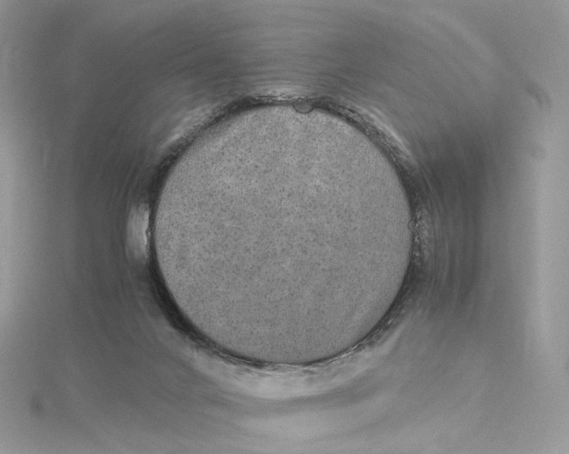 X0000115210024200911181538