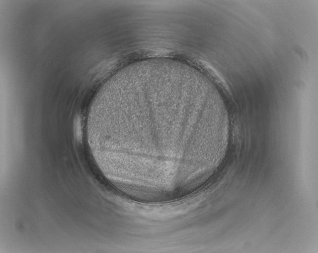 X0000115210026200911181537