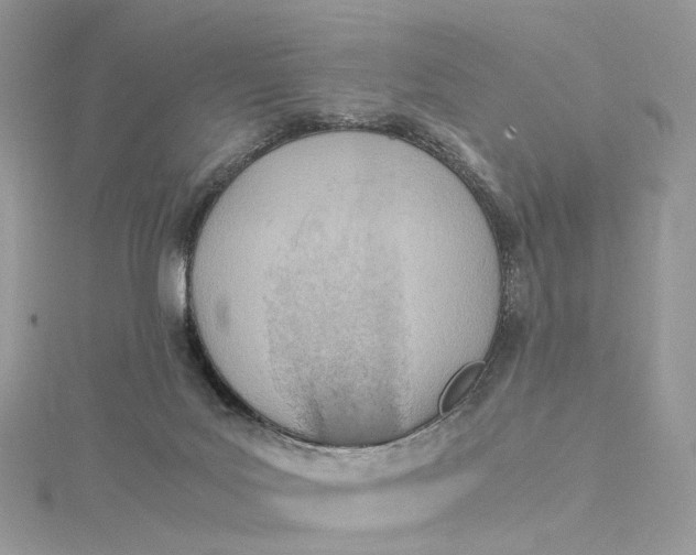 X0000115210027200911181537