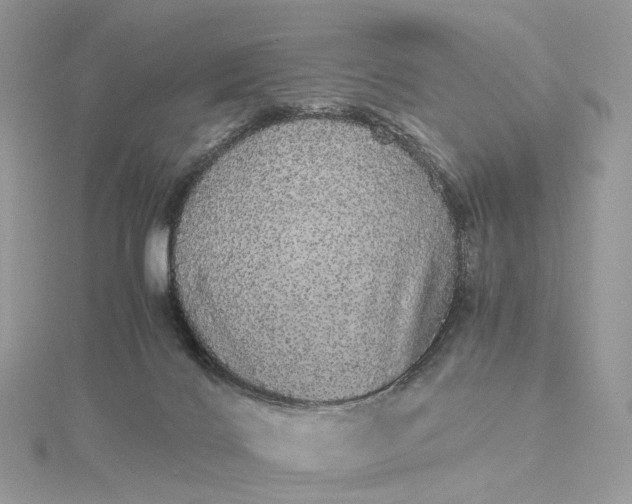 X0000115210028200911181537