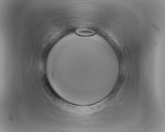 X0000115210031200911181537