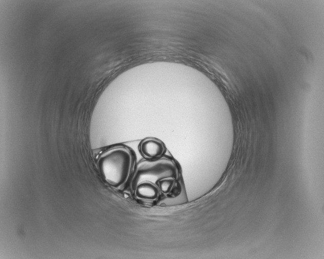 X0000115210033200911181537