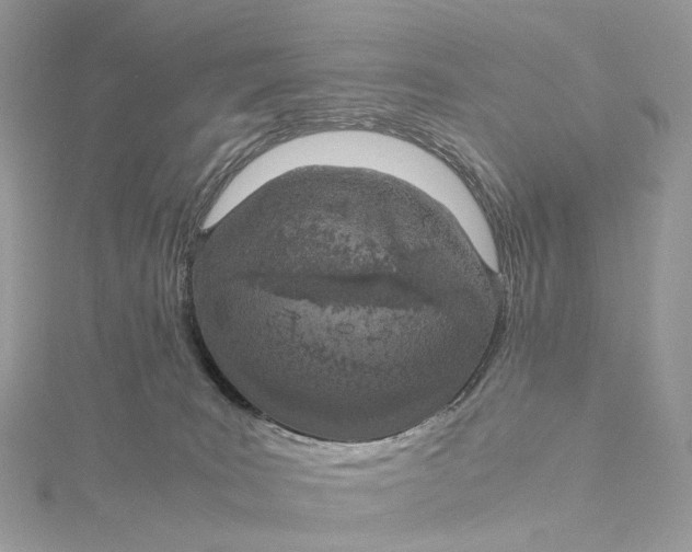 X0000115210035200911181537