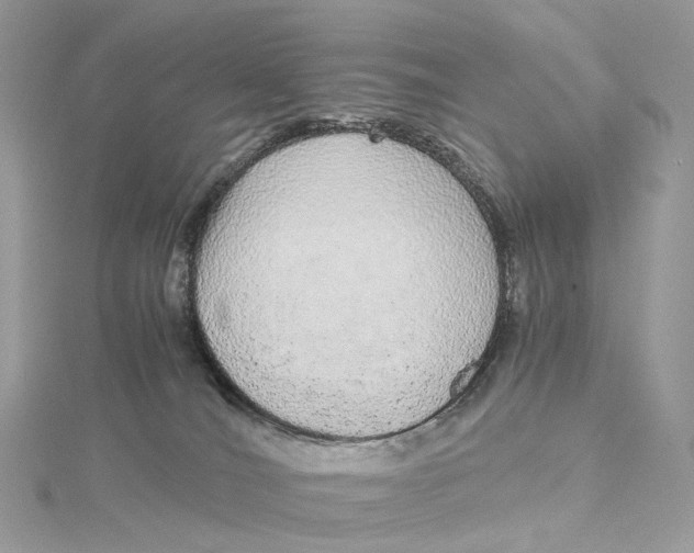 X0000115210036200911181537