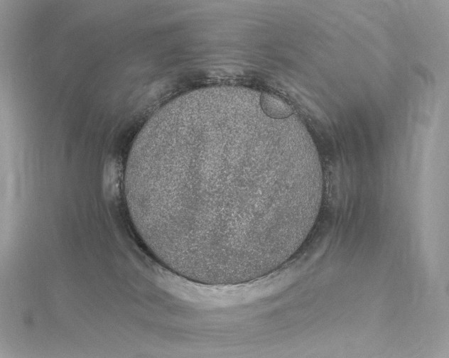 X0000115210038200911181537