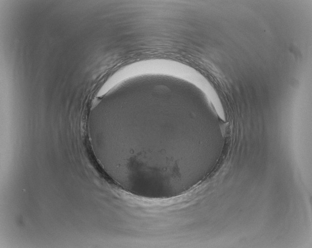 X0000115210039200911181537