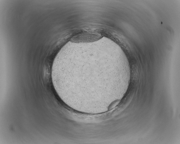 X0000115210040200911181537