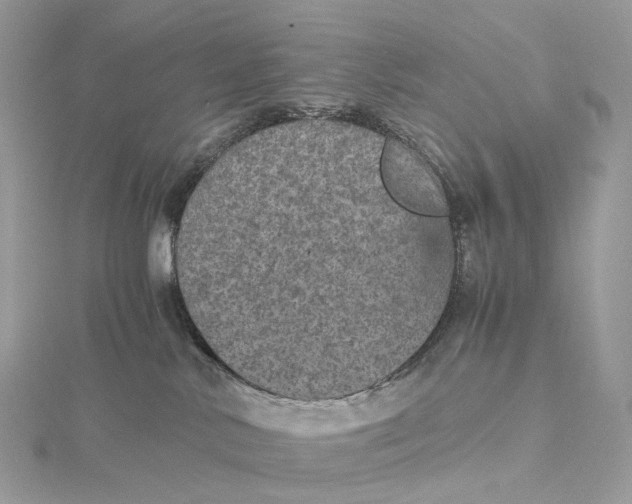 X0000115210042200911181537