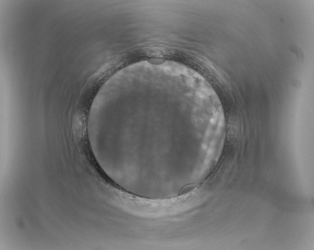 X0000115210043200911181537