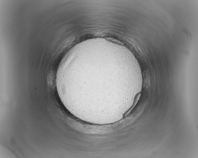 X0000115210044200911181537