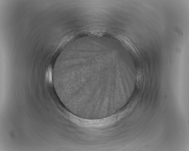 X0000115210046200911181537