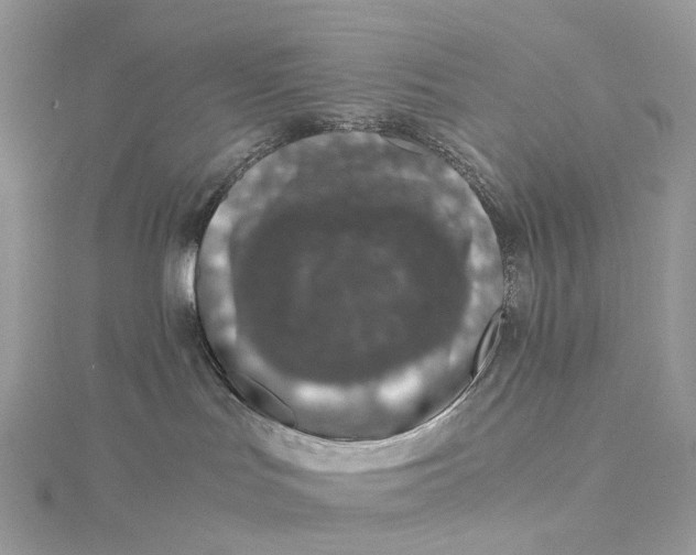 X0000115210047200911181537