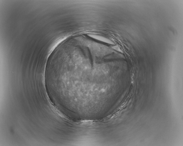 X0000115210052200911181537