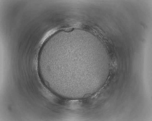 X0000115210054200911181537