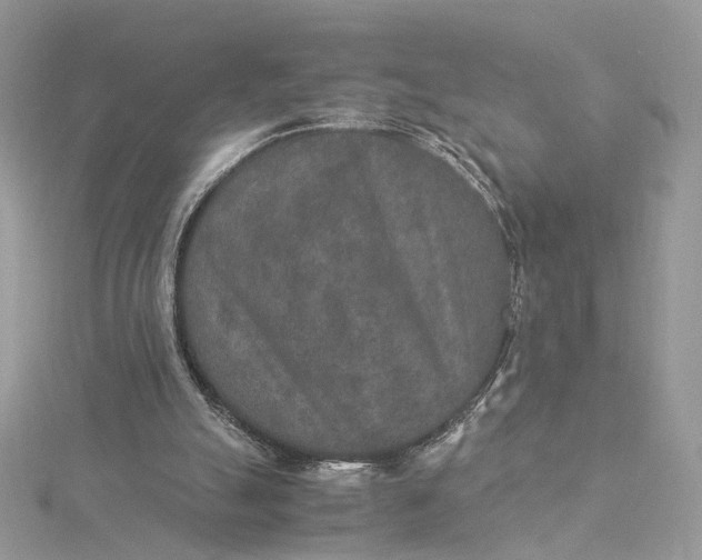 X0000115210055200911181537