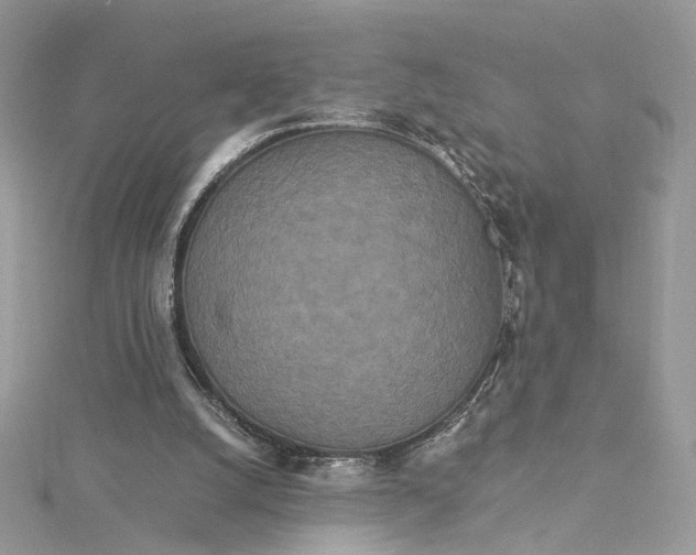 X0000115210056200911181537