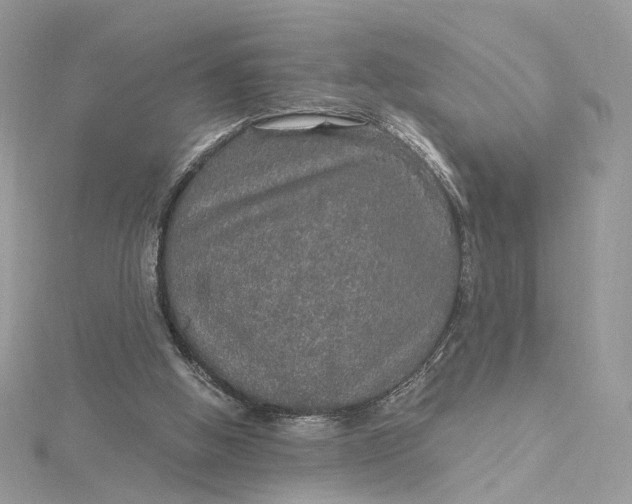 X0000115210058200911181537