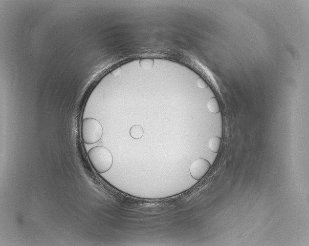 X0000115210059200911181537