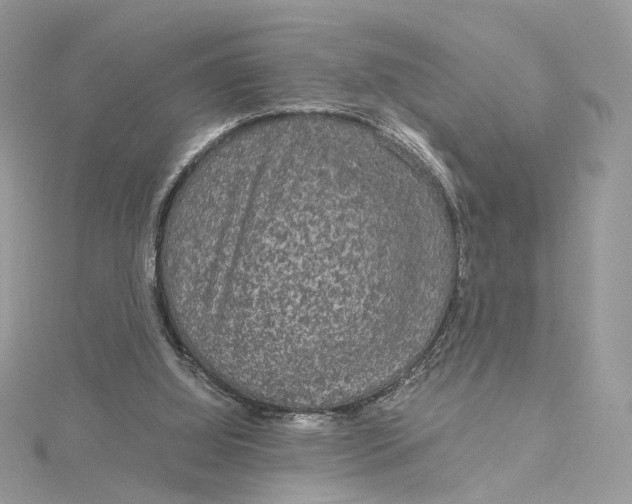 X0000115210060200911181537