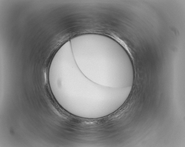 X0000115210061200911181537