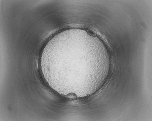 X0000115210062200911181537