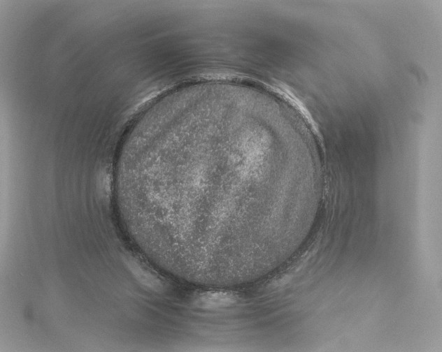 X0000115210063200911181537