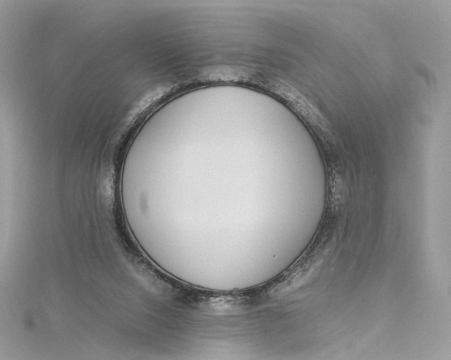 X0000115210064200911181537