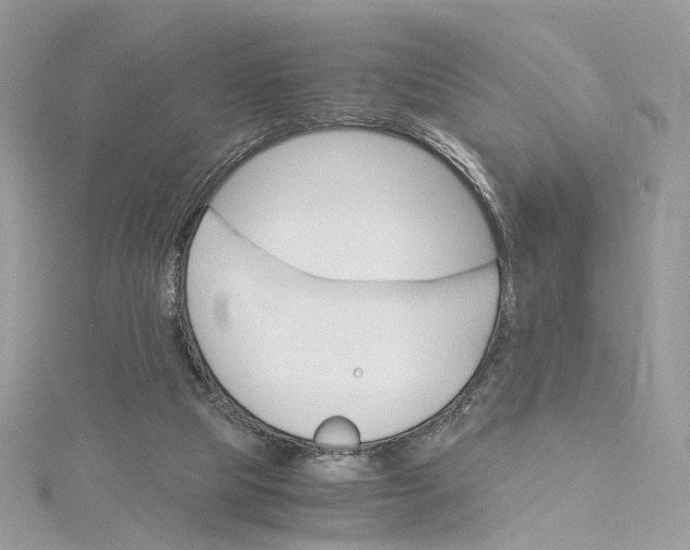 X0000115210065200911181537