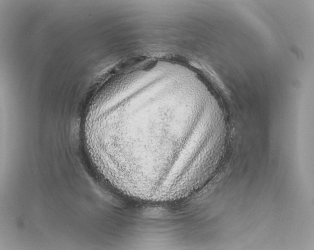 X0000115210066200911181537