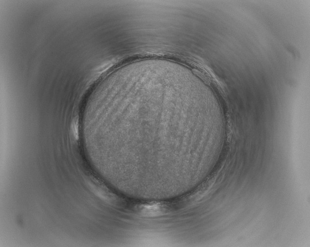 X0000115210068200911181537