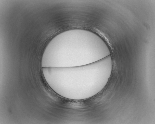 X0000115210069200911181537