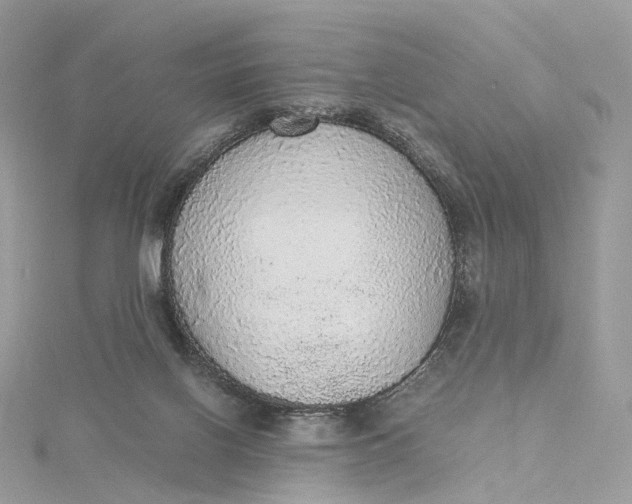 X0000115210070200911181537