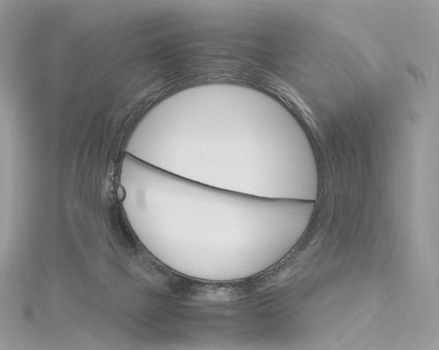 X0000115210073200911181537