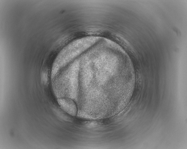 X0000115210074200911181537