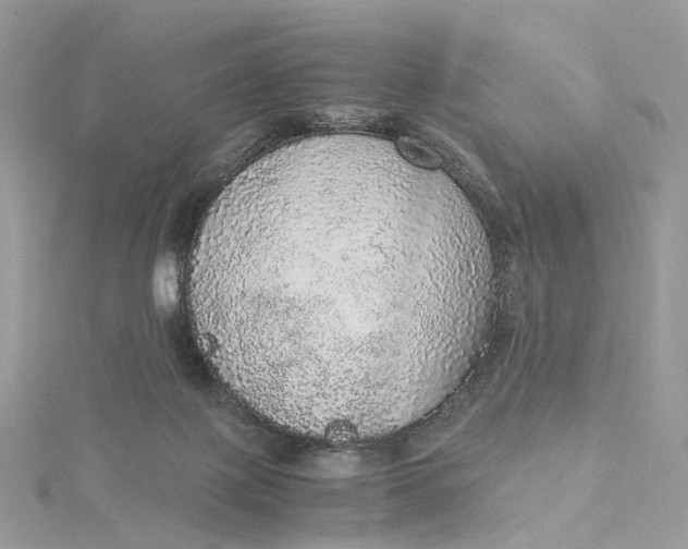 X0000115210075200911181537