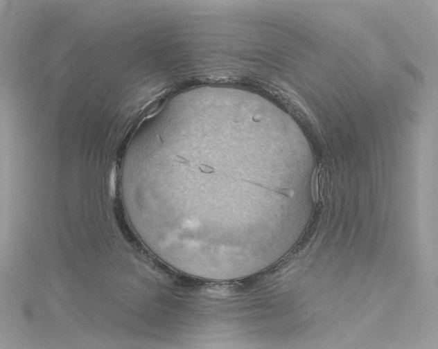 X0000115210076200911181537