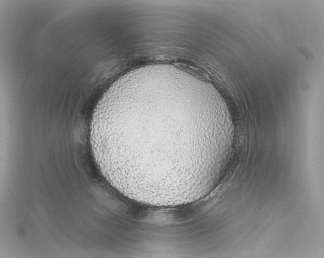 X0000115210078200911181537