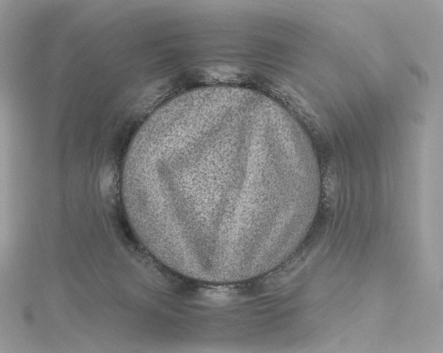 X0000115210079200911181537