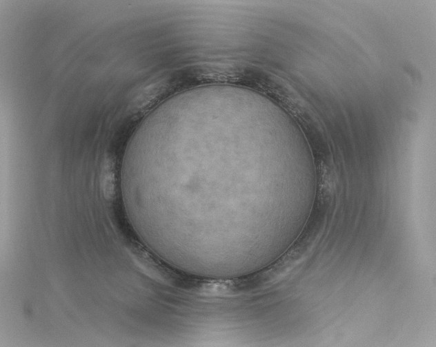 X0000115210080200911181537