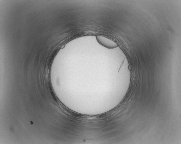 X0000115210081200911181537