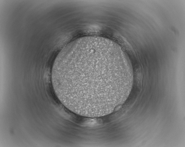 X0000115210083200911181537