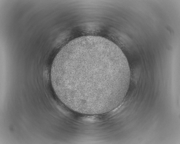 X0000115210086200911181537