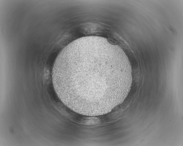 X0000115210087200911181537